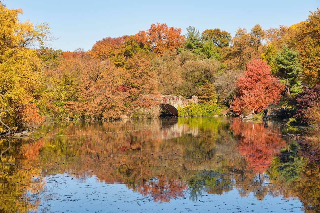 The Pond Central Park