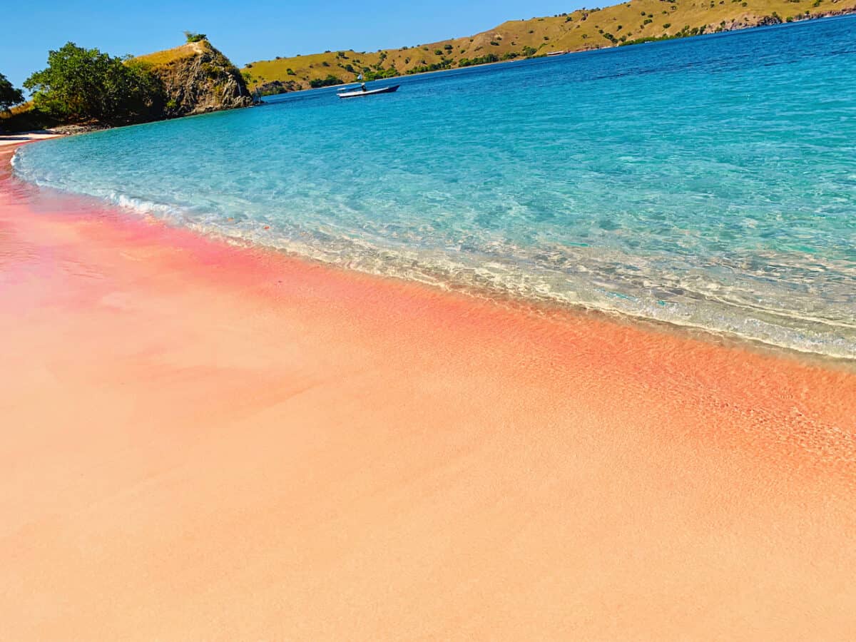 The Stunning Komodo Island Pink Beach Labuan Bajo Indonesia