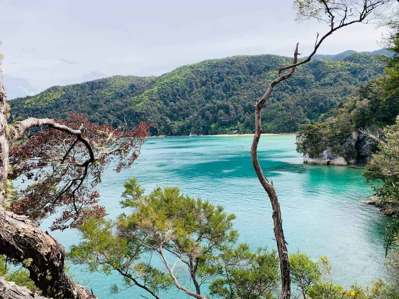 A COMPLETE GUIDE to Hiking The Abel Tasman Track | New Zealand