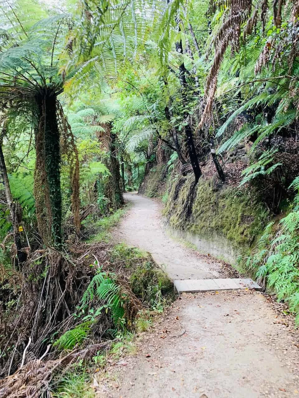 Abel Tasman Track Path