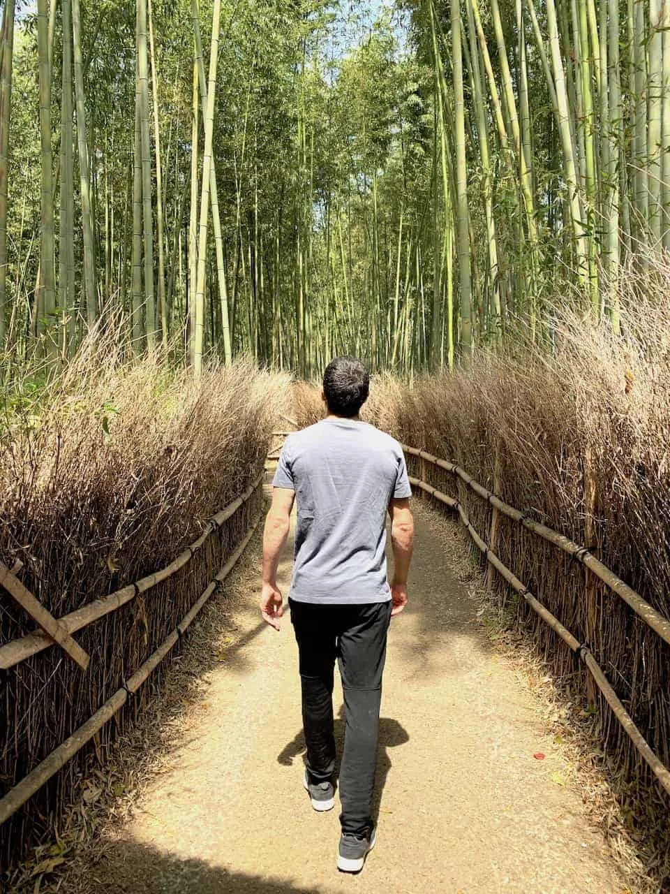 Arashiyama Bamboo Grove