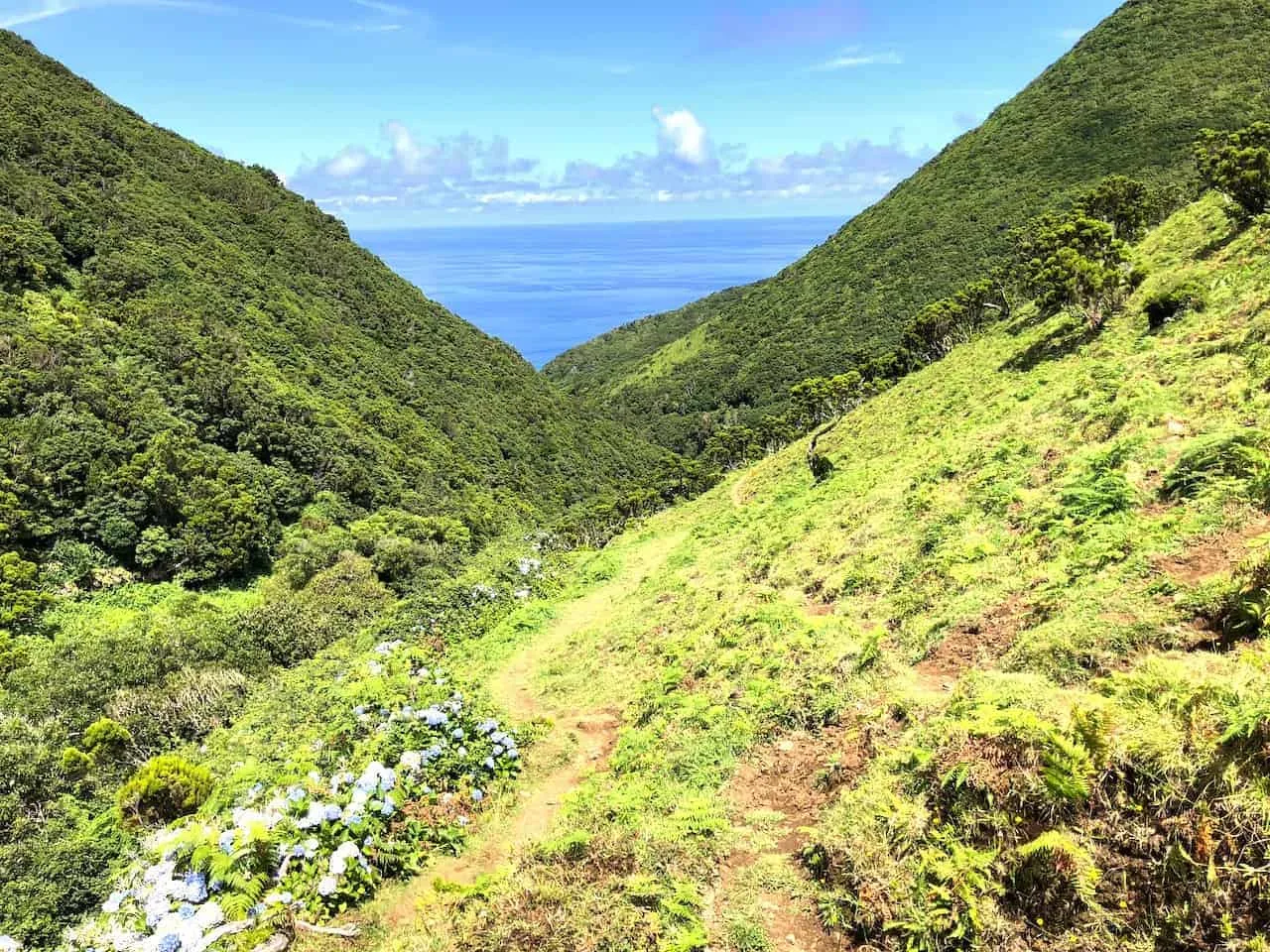Azores Hiking Sao Jorge Trail