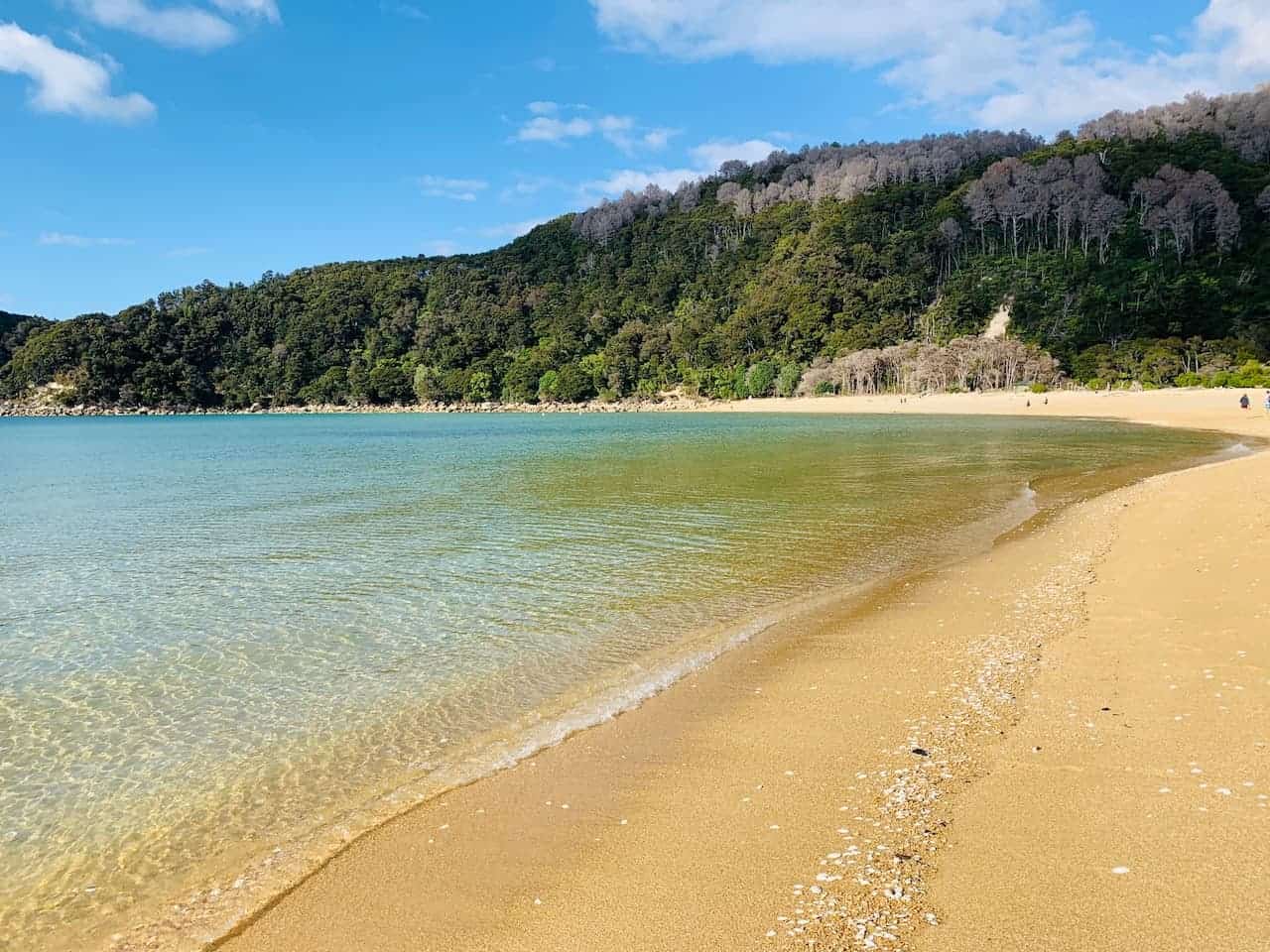 Bark Bay Abel Tasman