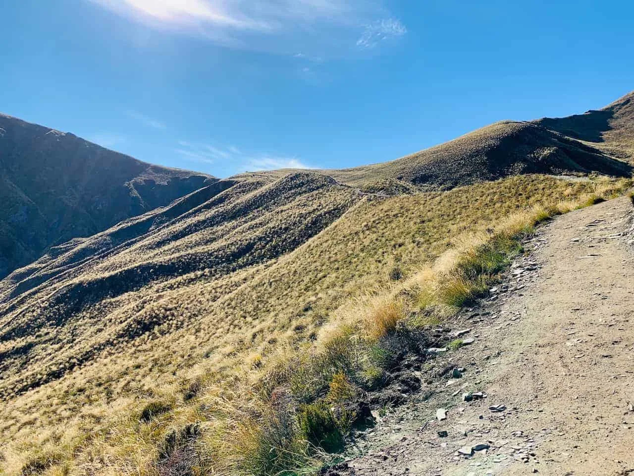 Ben Lomond Saddle