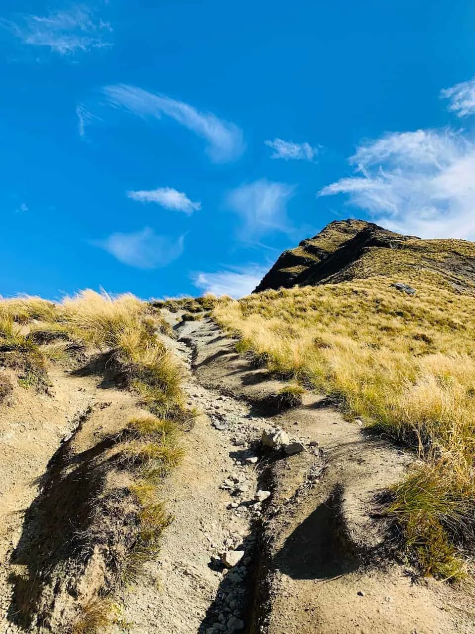 Ben Lomond Summit Path