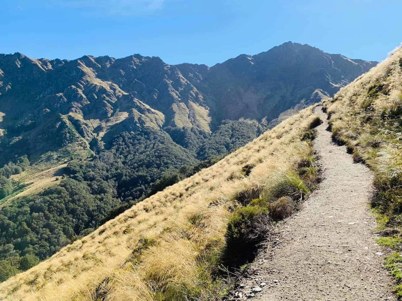 Ben Lomond Track Path