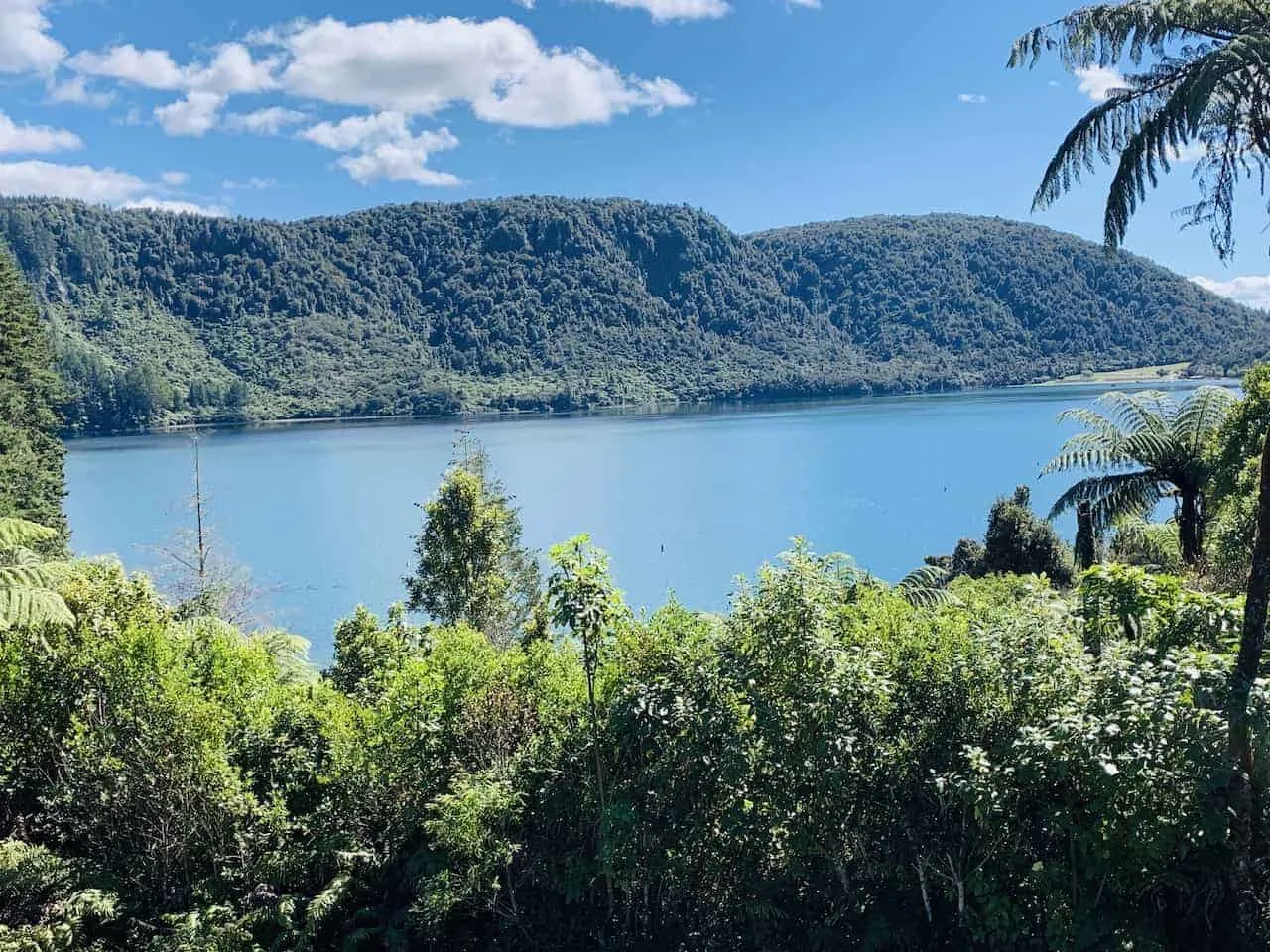 Blue Lake Rotorua