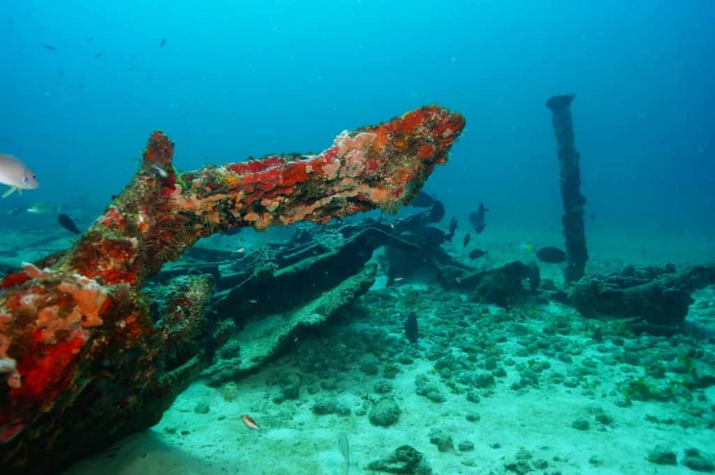 cancun scuba diving padi