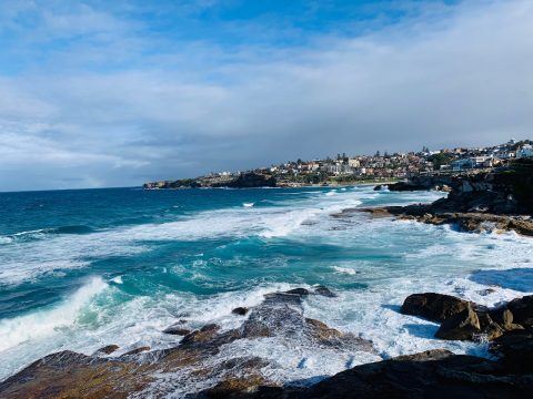 bondi coogee triptins sydney