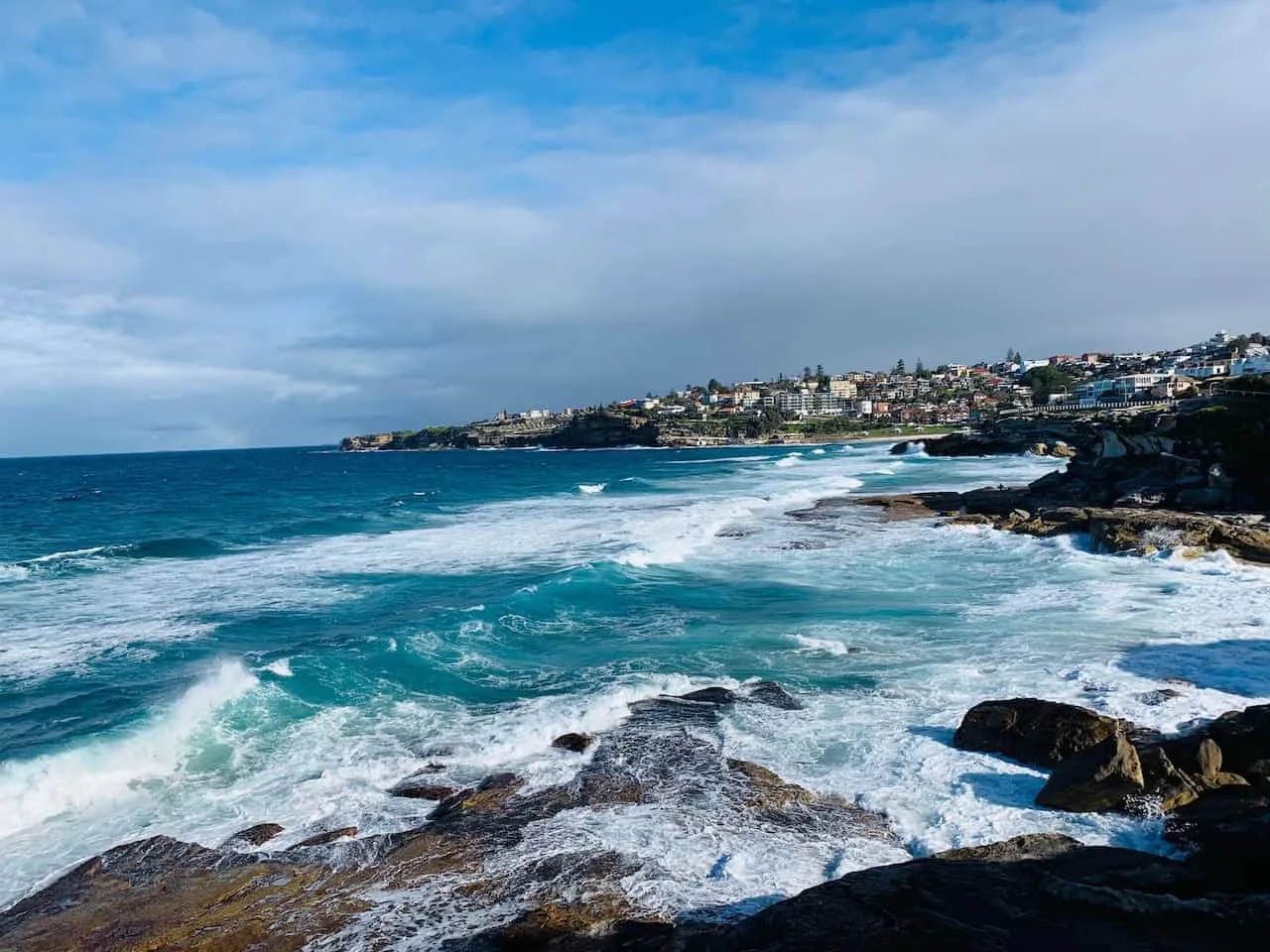 Coogee to Bondi Coastal Walk