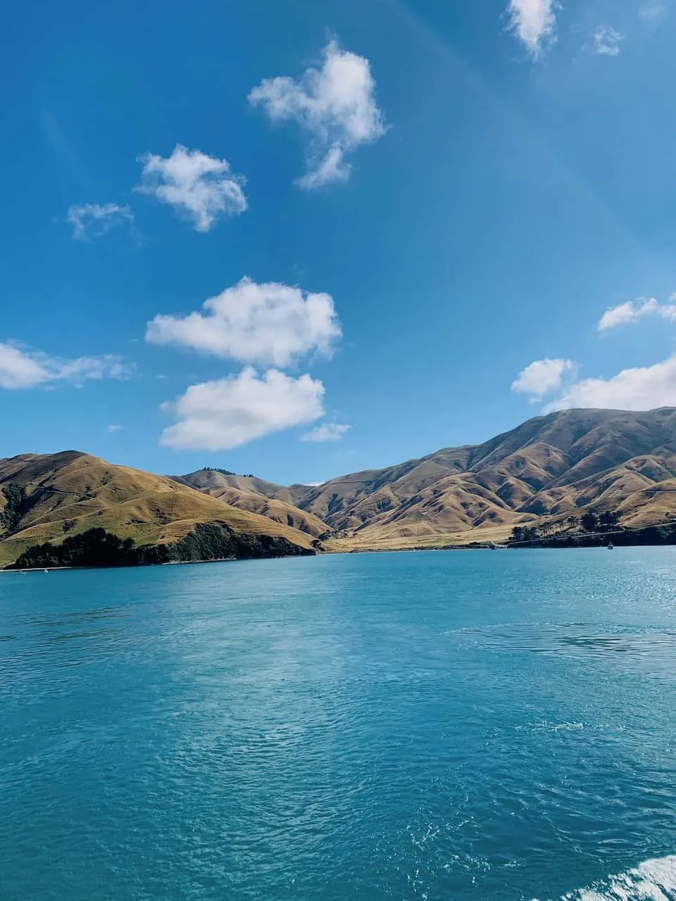 Cook Strait South Island