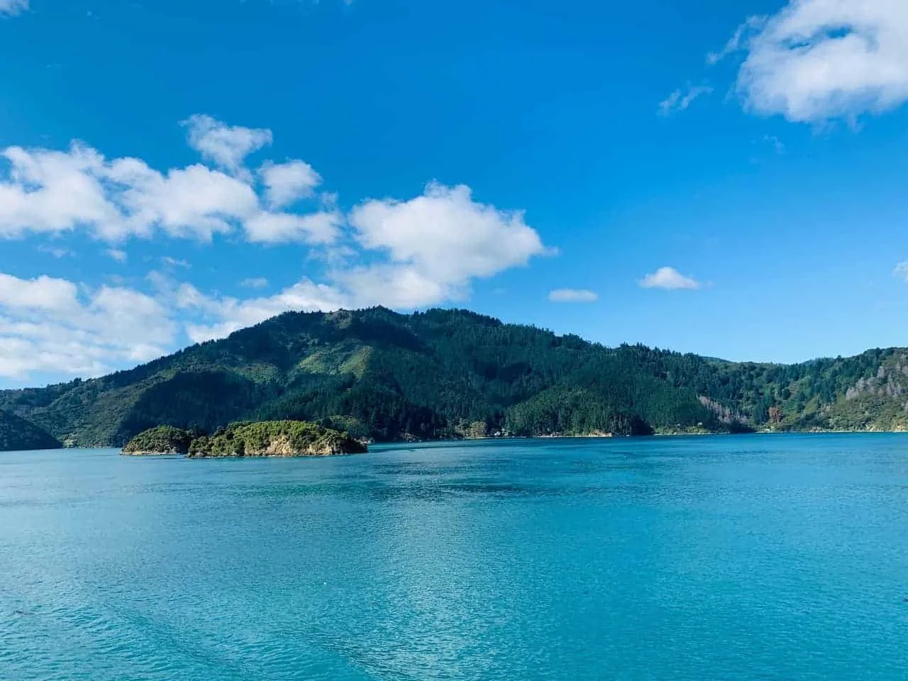 Cook Strait Views