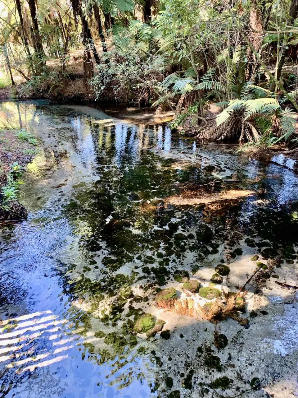 Dancing Sands Hamurana