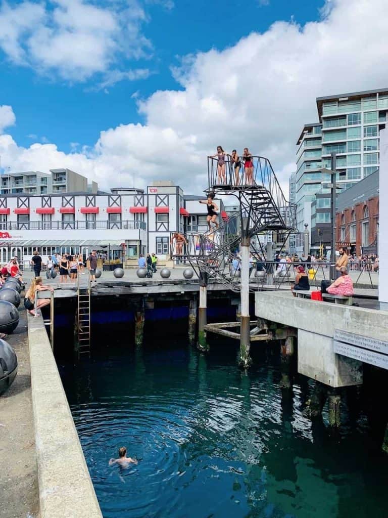 8 MUST DO Wellington Activities A Complete 1 Day Wellington Itinerary