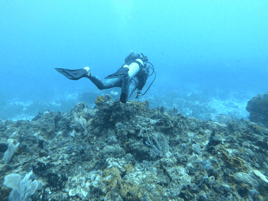 scubadiving in cancun