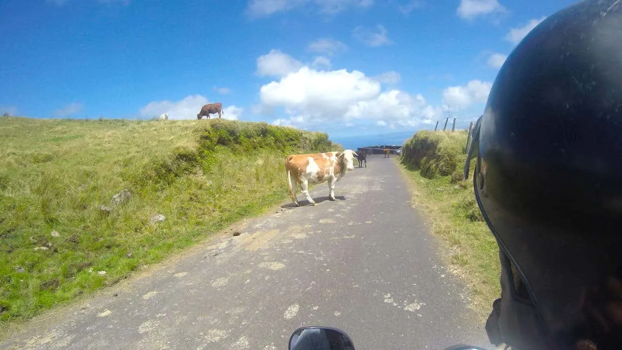 Faial Horta Scooters