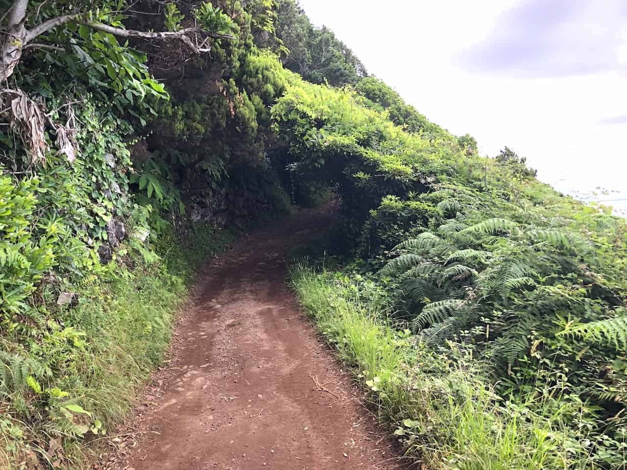 Fajã dos Cubres Hike