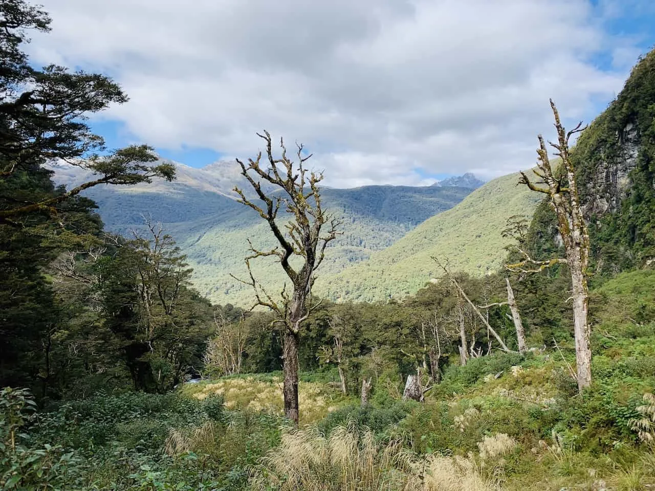 Fiordland National Park