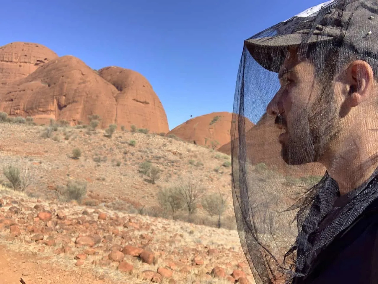 Fly Net Kata Tjuta