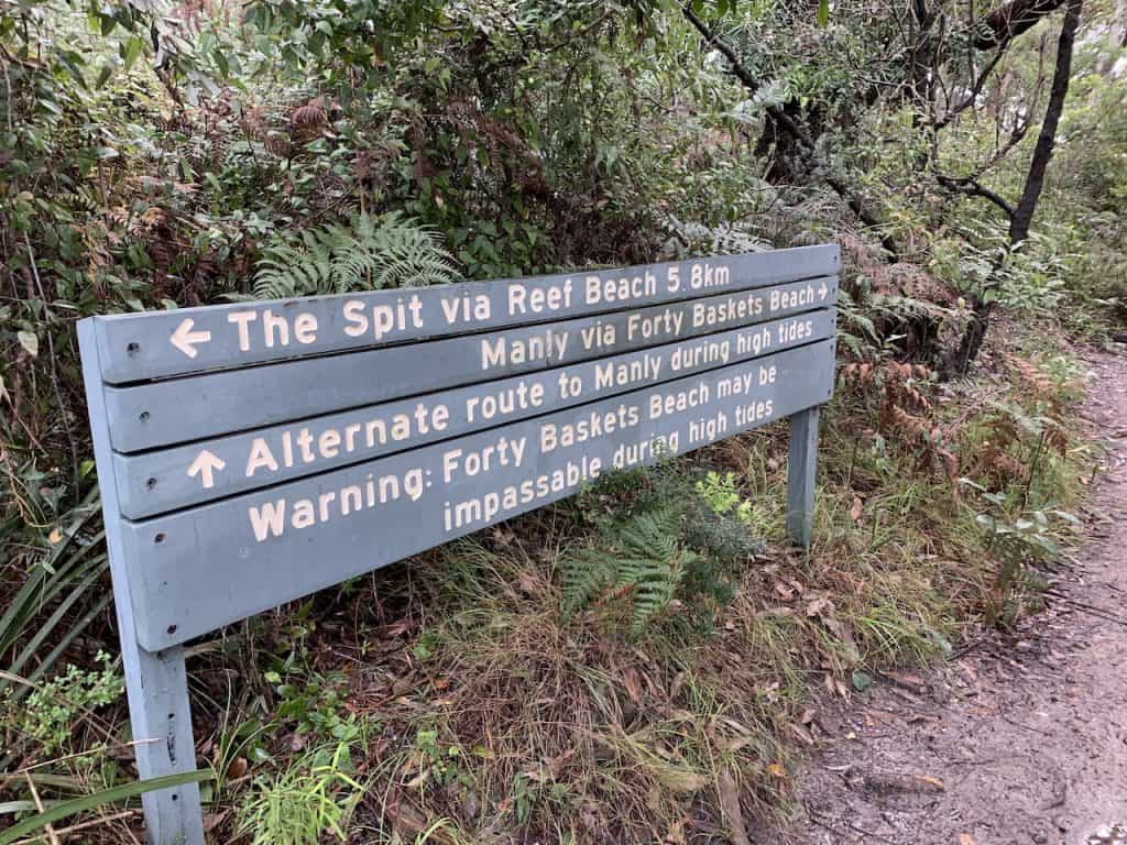 The Spit Bridge to Manly Walk | EVERYTHING YOU NEED TO KNOW
