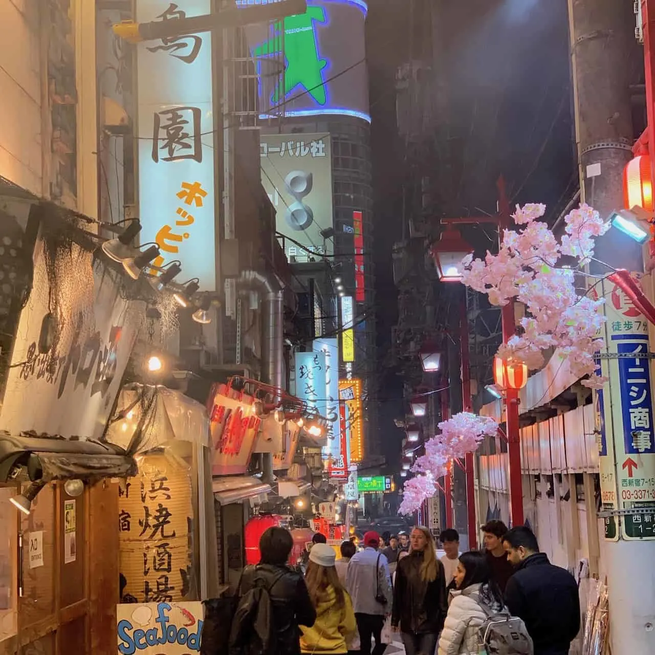 Golden Gai Piss Alley