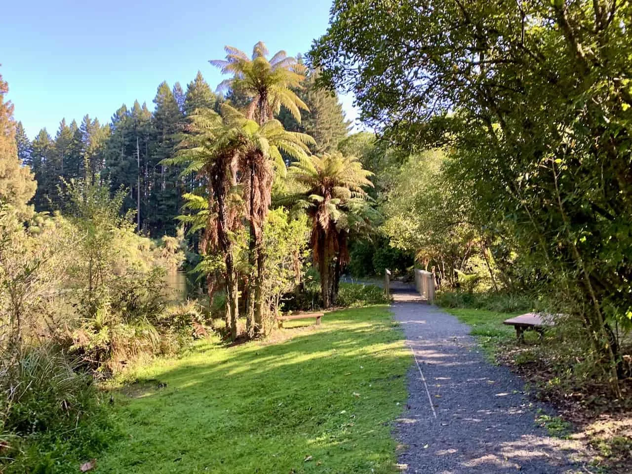 Hamurana Springs New Zealand