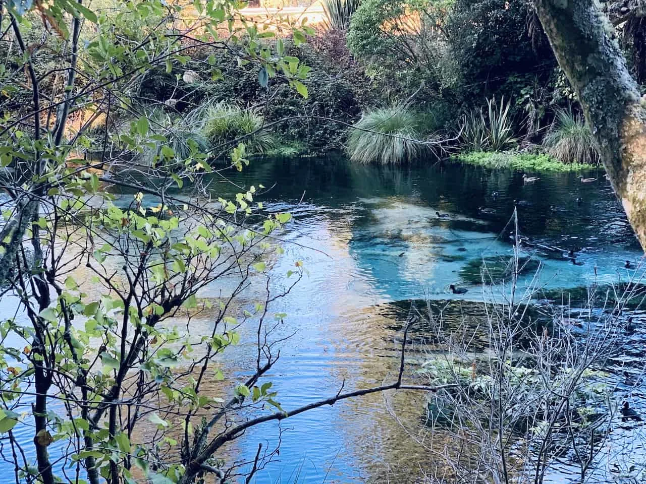 Hamurana Springs River