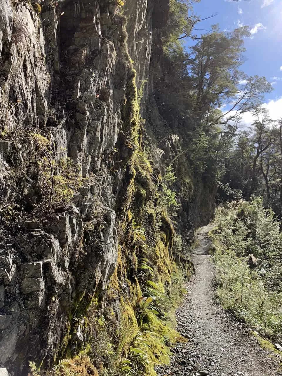 Hiking New Zealand Path