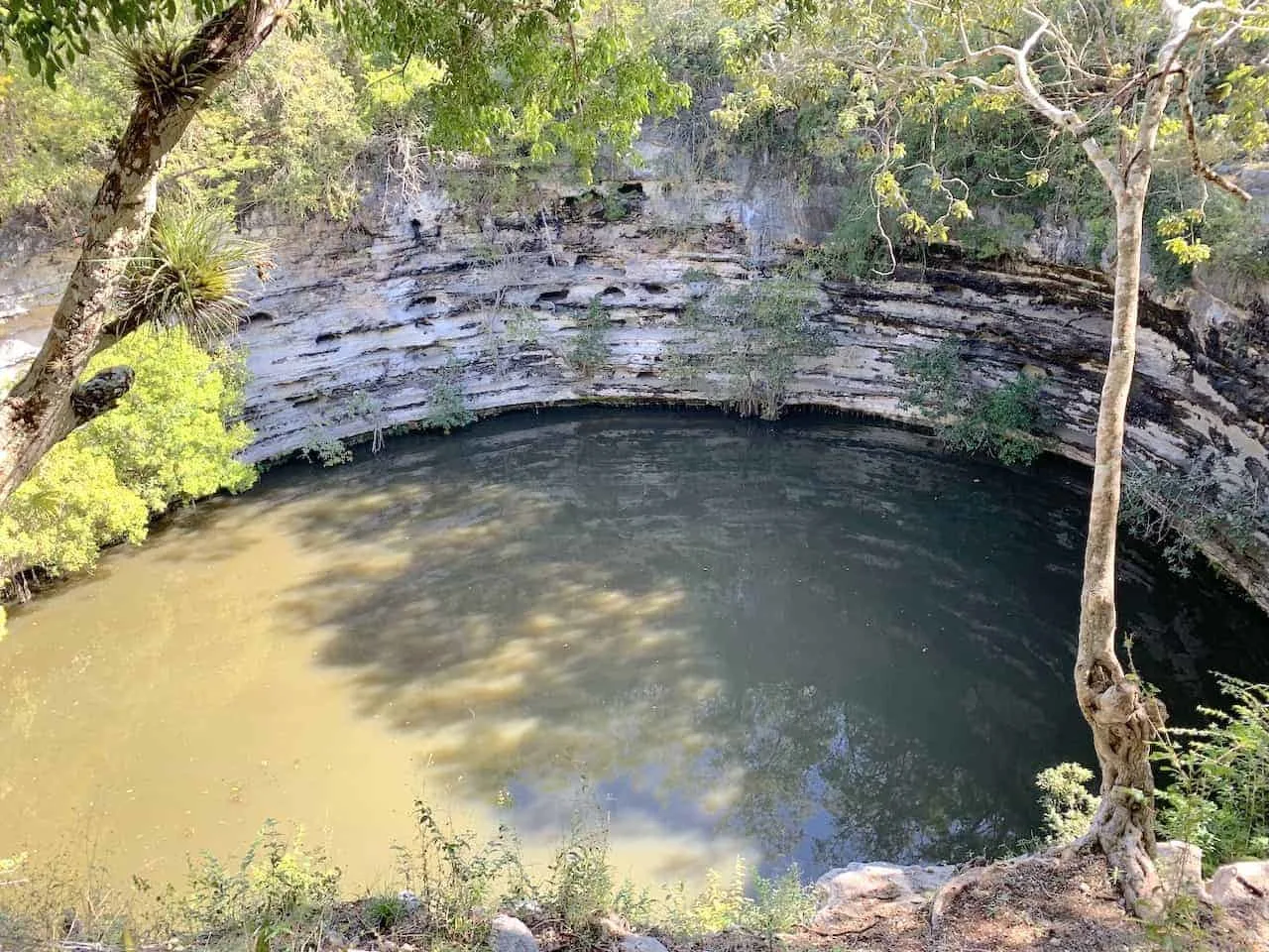 The Sacred Cenote