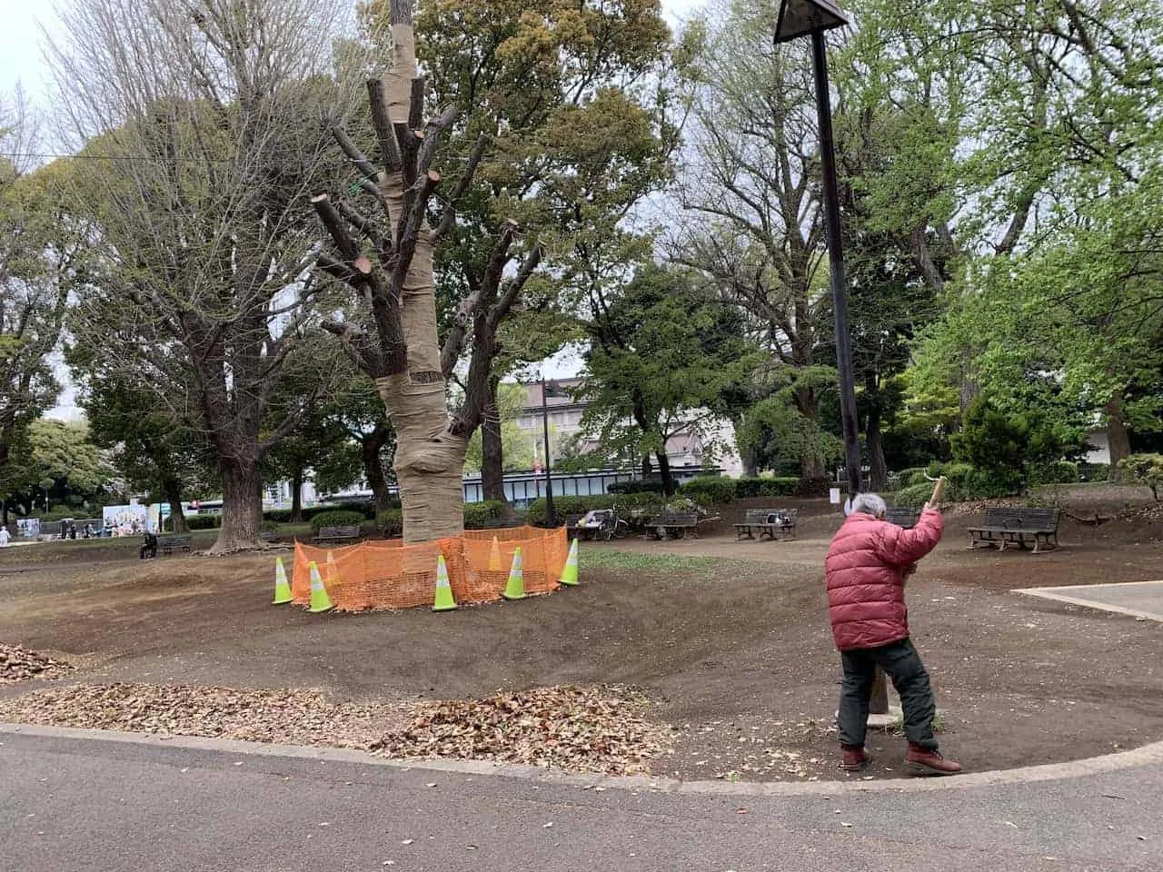 Japan Cleanliness