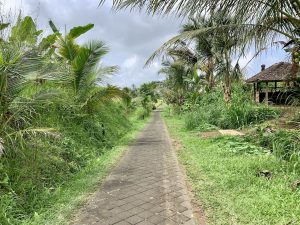 A Guide to the Jatiluwih Rice Terraces | Trekking, Map, Views & More!