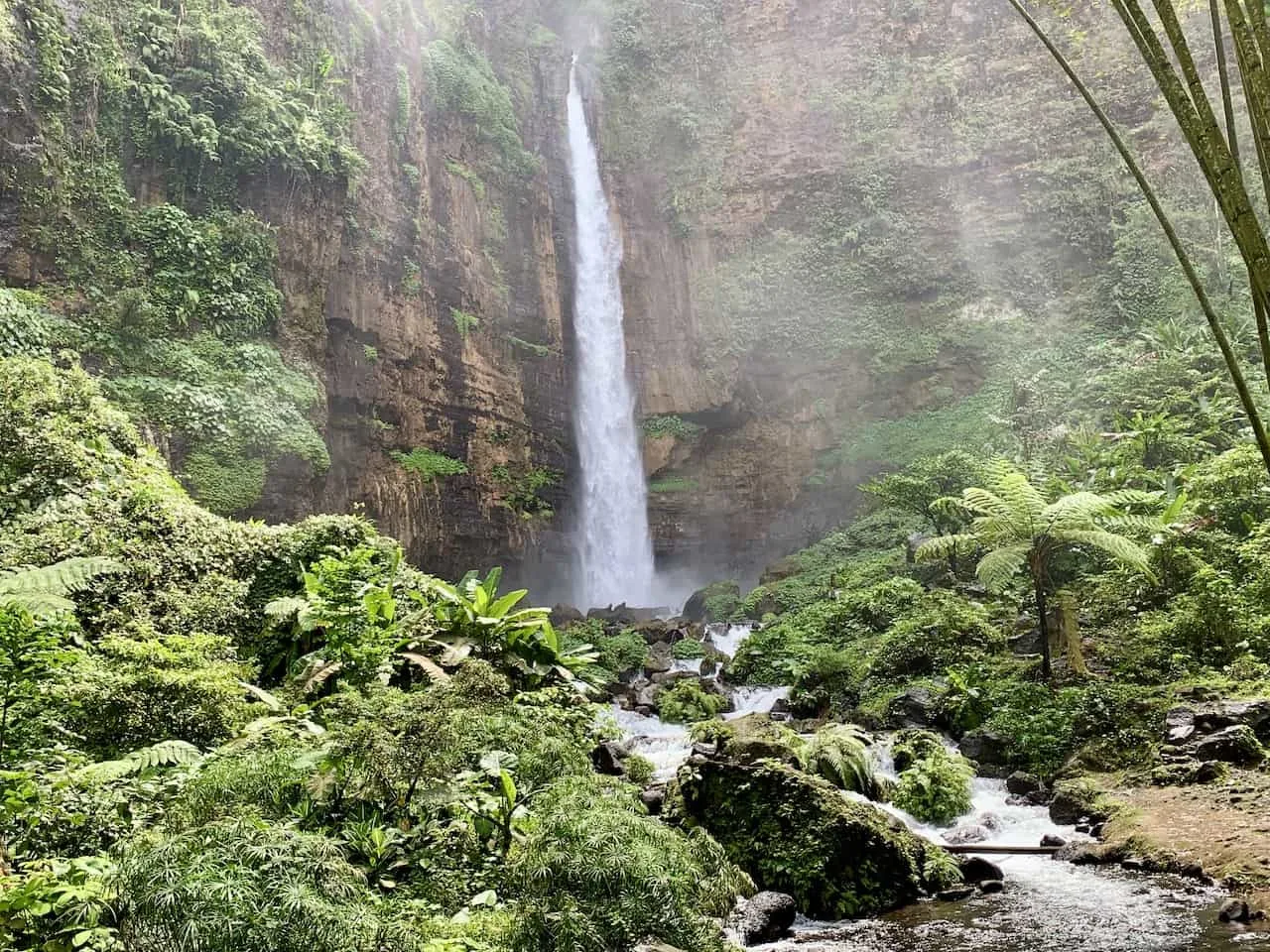 Kapas Biru East Java