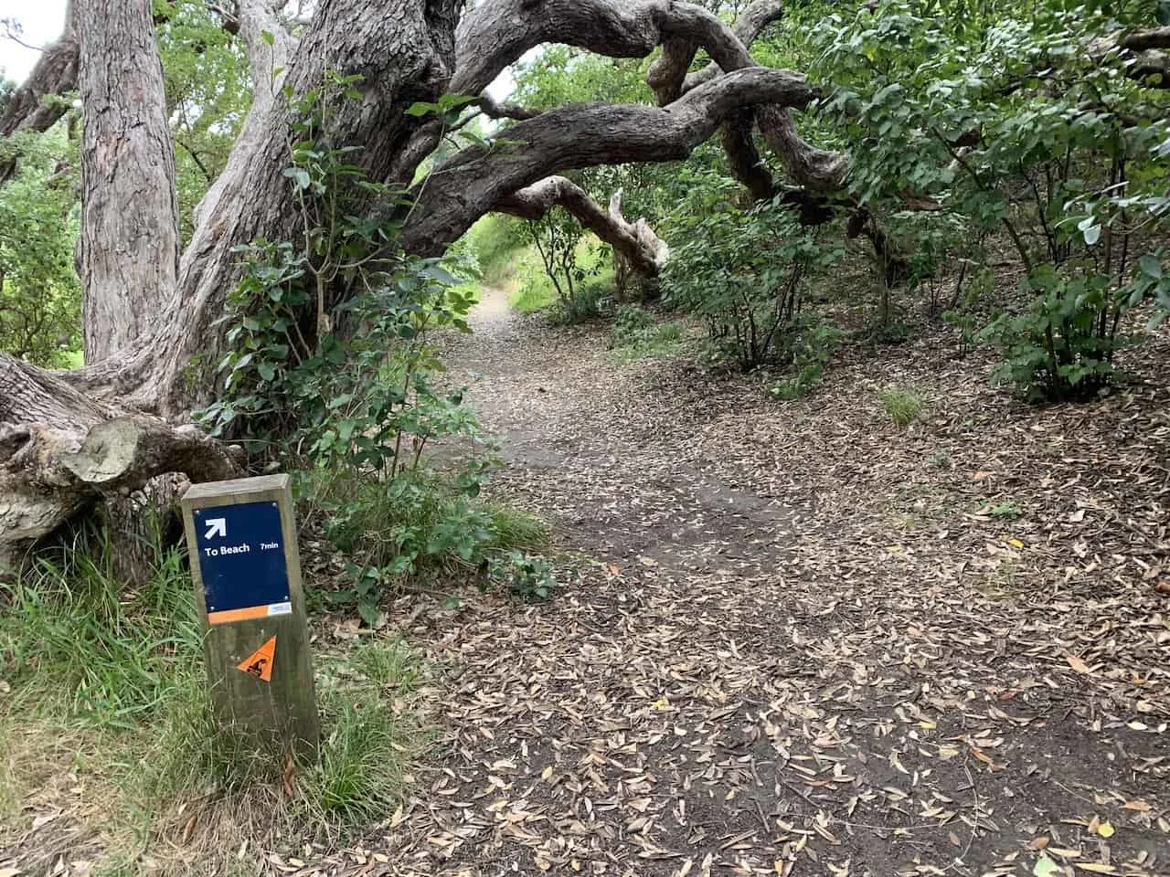 Karekare Beach Dry Path