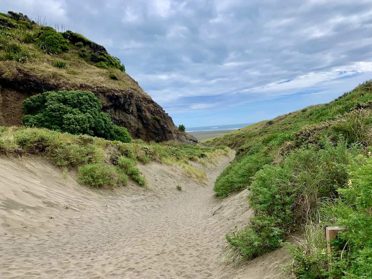 Karekare Beach Dunes