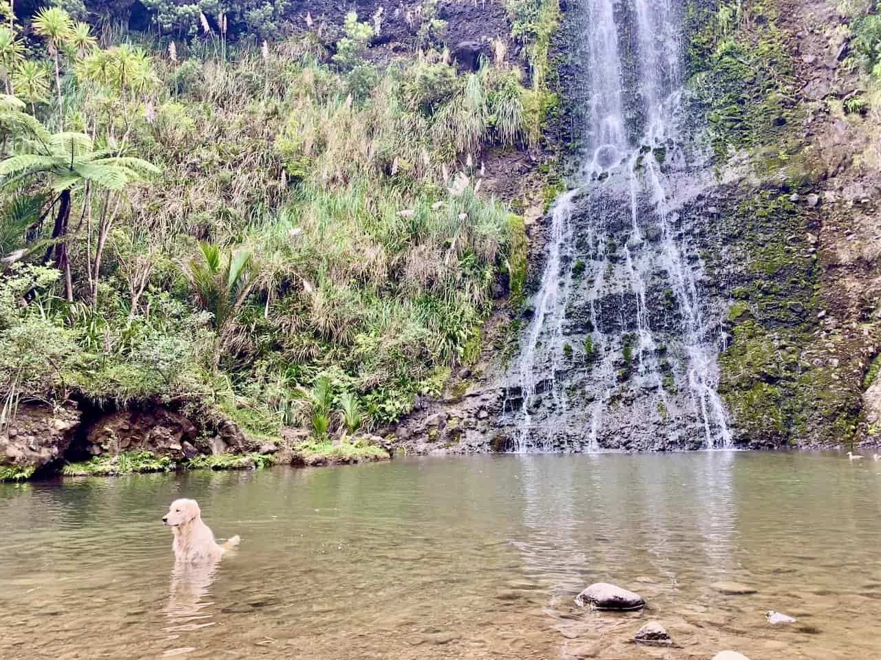 Karekare Falls