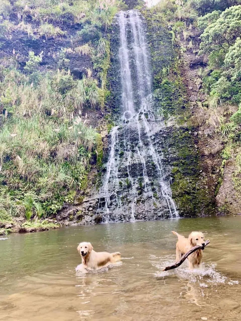 Karekare Waterfall