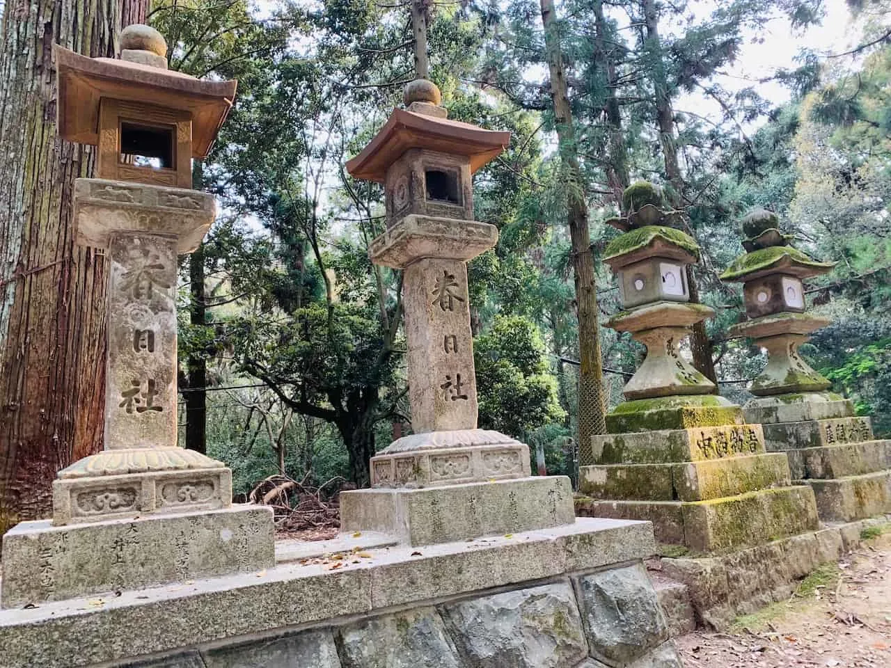 Kasuga Taisha Stone Lanterns