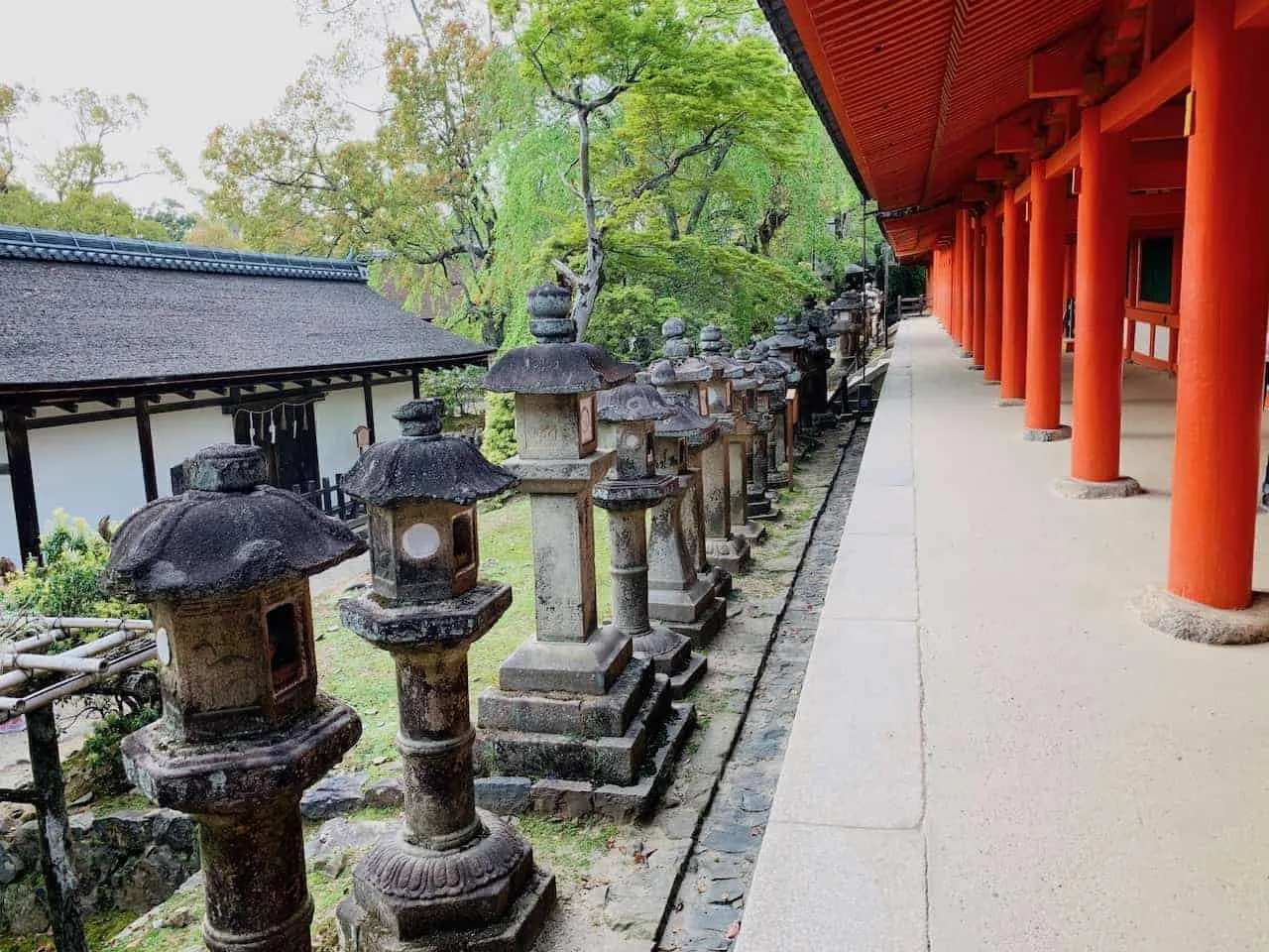 Kasuga Taisha Temple Lanterns