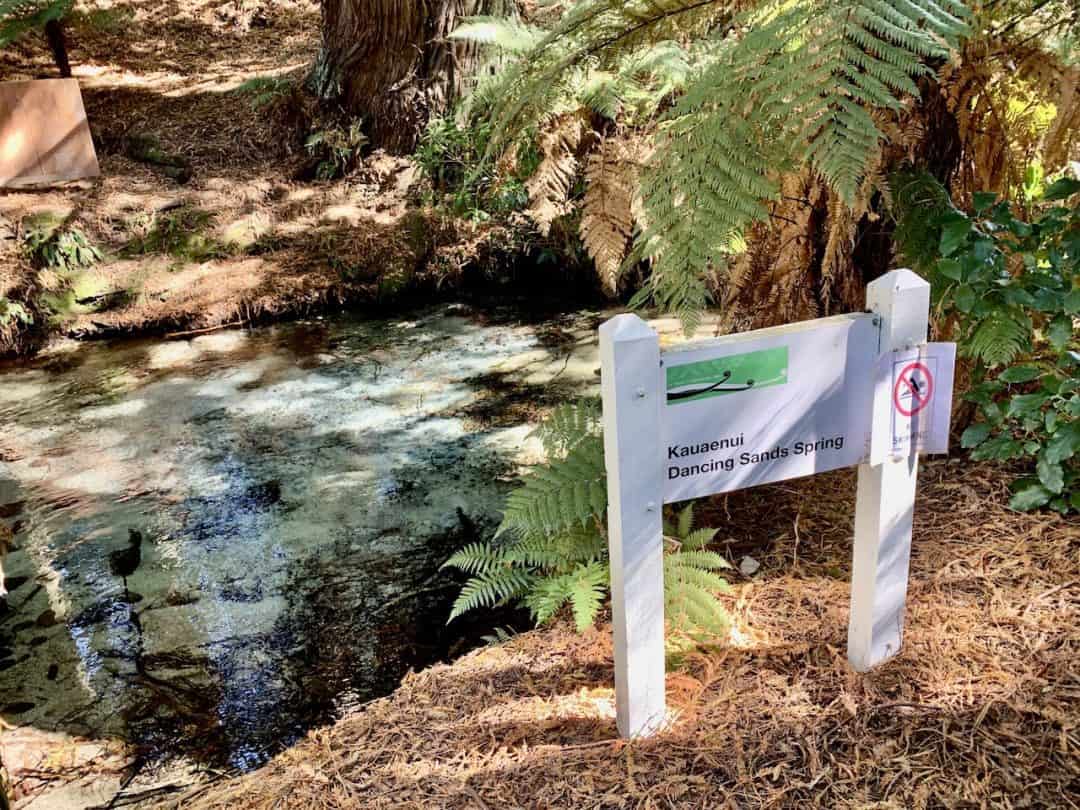 A Complete Guide to the Hamurana Springs Walk of Roturua New Zealand