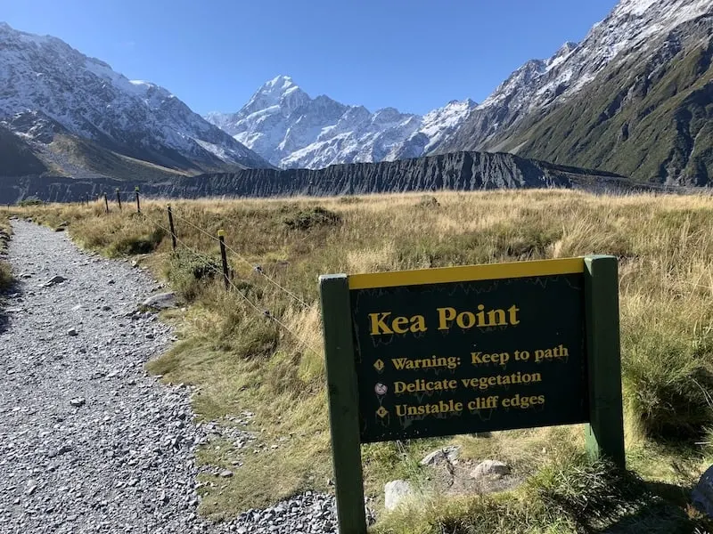 Kea Point Ending Point