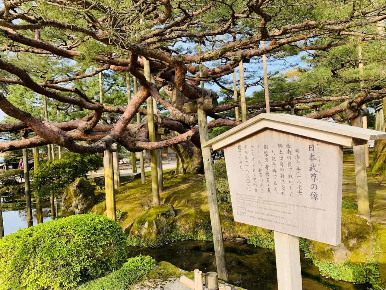 Kenrokuen Gardens Tree