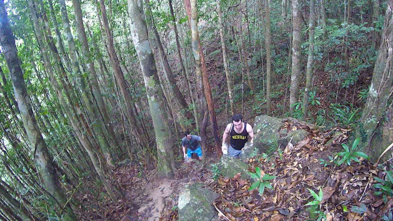 Khao Ra Jungle Hike
