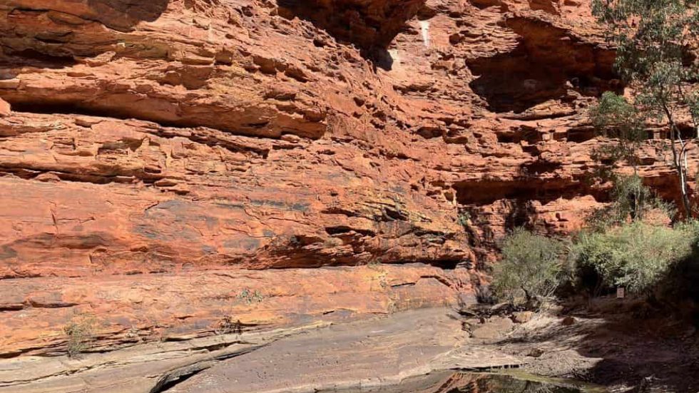 The Returner Walks The Kings Path Vf Your KINGS CANYON RIM WALK Guide | Map, Logistics, and More!