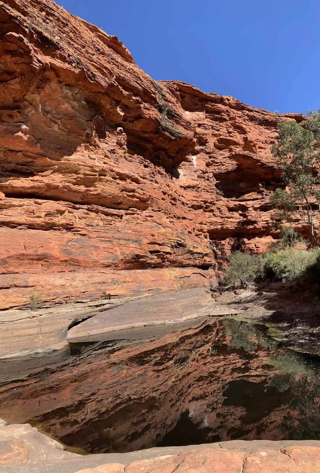 Kings Canyon Rim Walk Garden of Eden