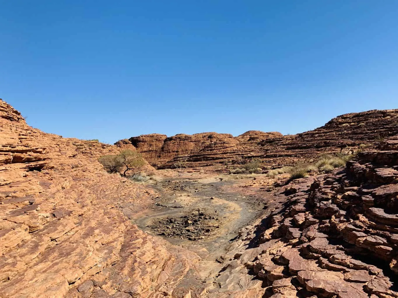 Kings Canyon Rim Walk Landscape