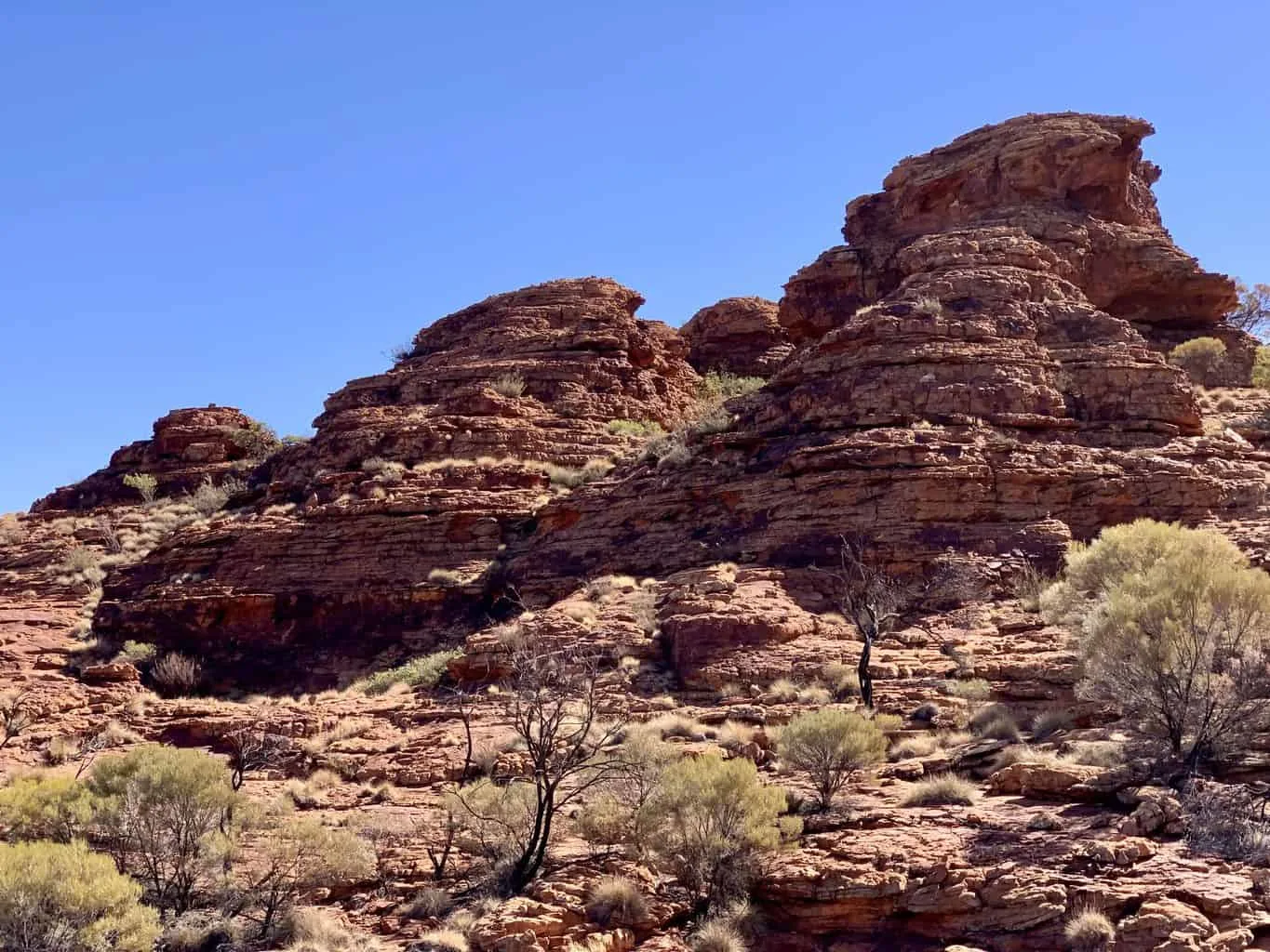 Kings Canyon Rim Walk Outback