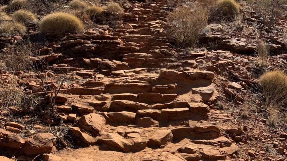 Your KINGS CANYON RIM WALK Guide | Map, Logistics, and More!