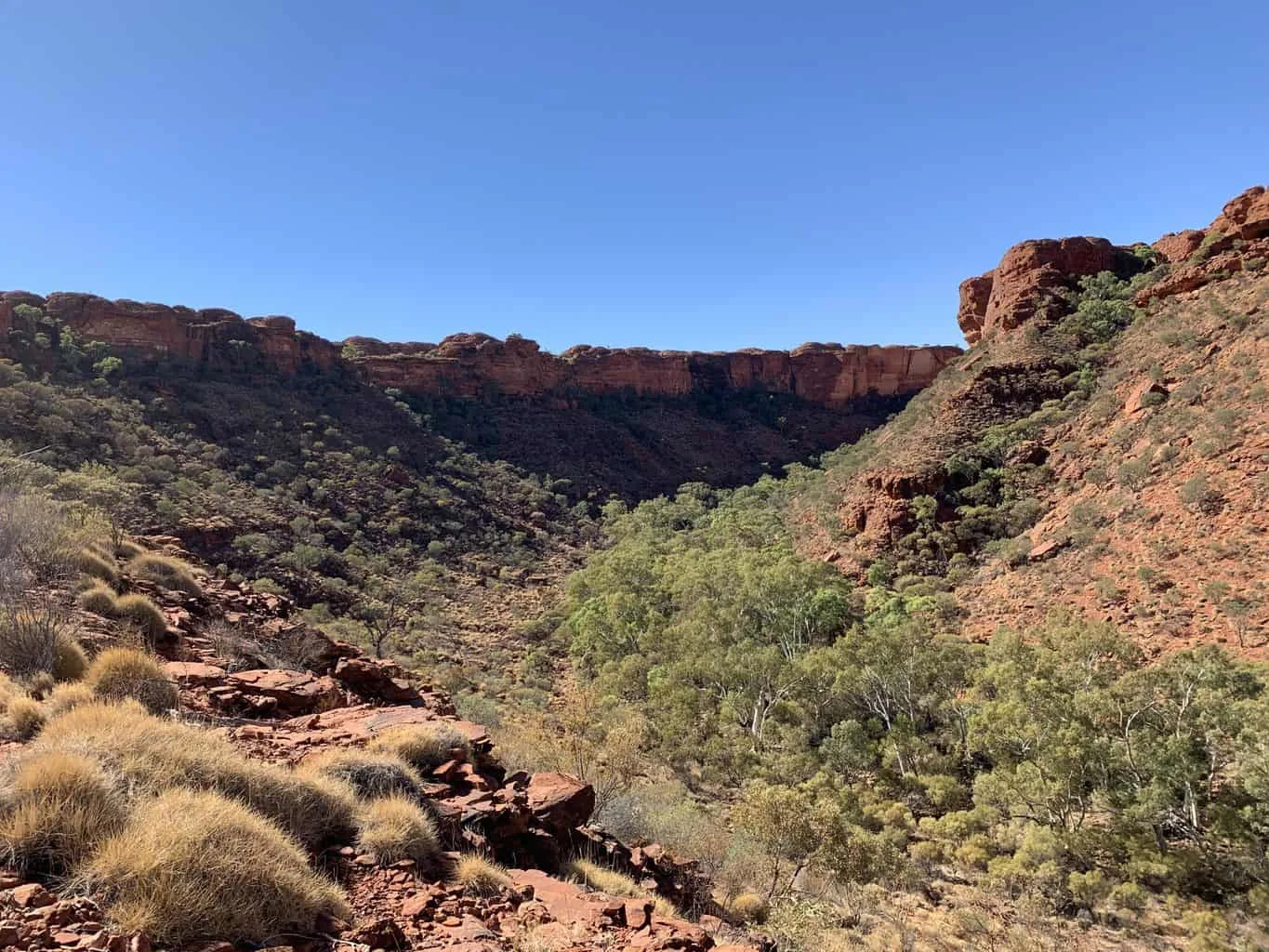 Kings Canyon Rim Walk Viewpoint