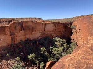 Your KINGS CANYON RIM WALK Guide | Map, Logistics, and More!