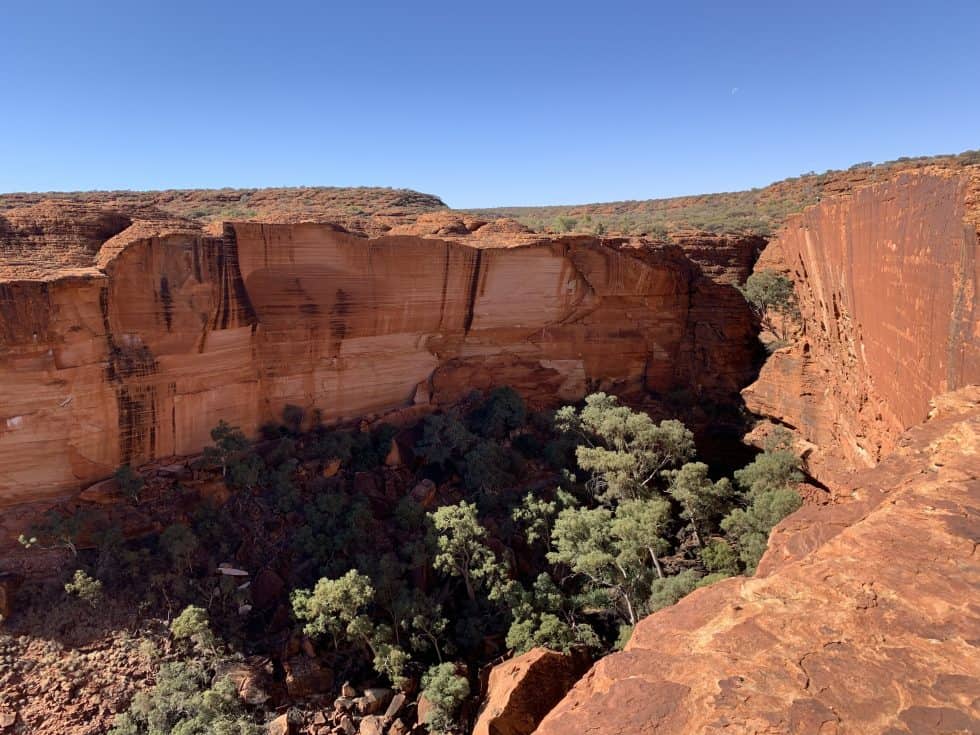 Your KINGS CANYON RIM WALK Guide | Map, Logistics, and More!
